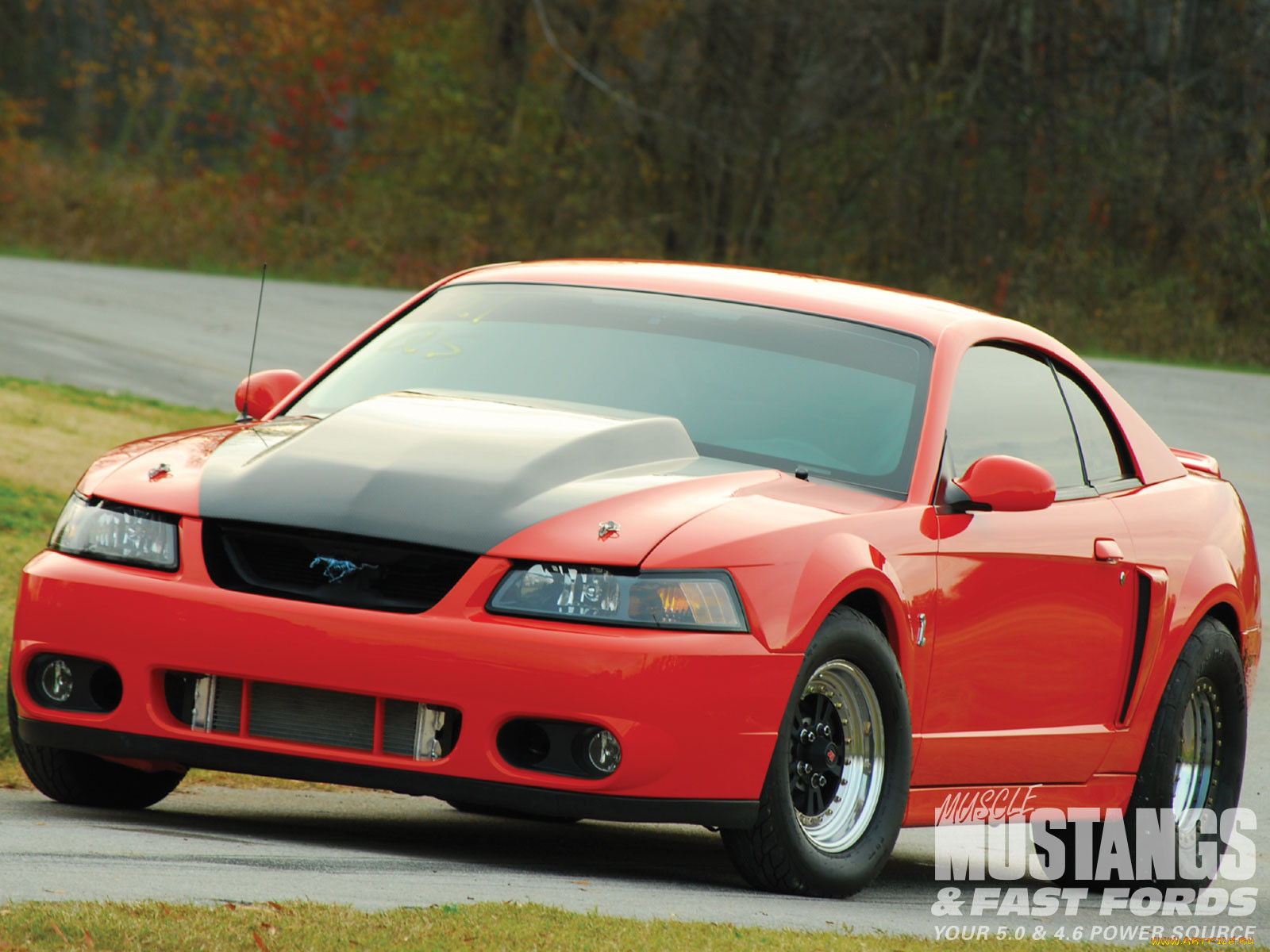 2004, ford, mustang, cobra, , hotrod, dragster